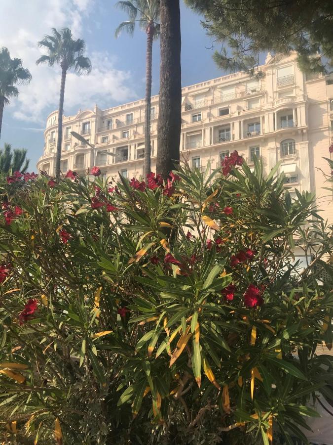 New - Cosy & Nice Apartment In Palais Miramar Cannes Exterior photo